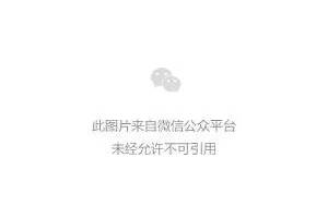 如何为篮球青训找到赞助资金:实用策略与成功秘诀